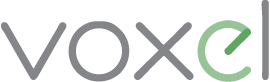 Logo Voxel